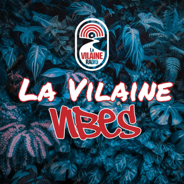 Cette image illustre un article de la catégorie Les émissions. Son titre est « La vilaine vibes »
